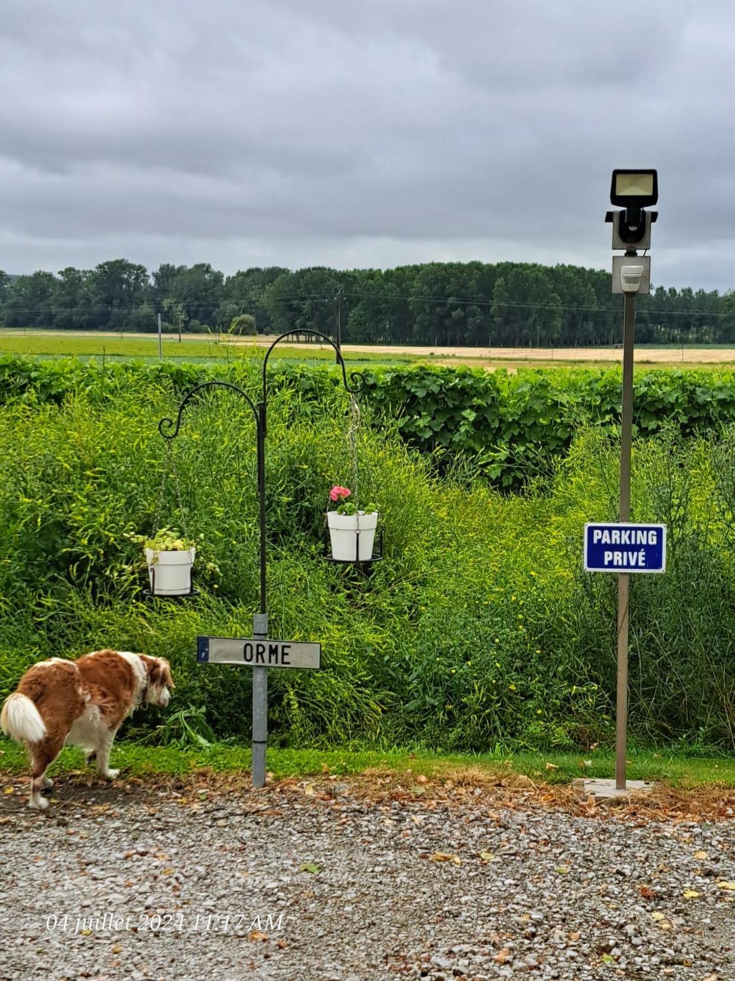 La Metairie Au Milieu Des Vignes Leilighet Réaux Eksteriør bilde